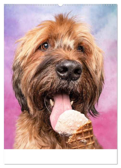 Cool Dogs - Hunde-Eis-Zeit (CALVENDO Premium Wandkalender 2025)