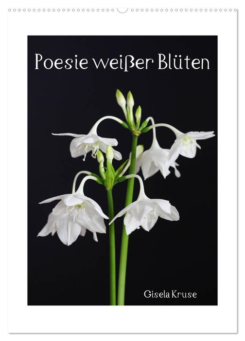 Poesie weißer Blüten (CALVENDO Wandkalender 2025)