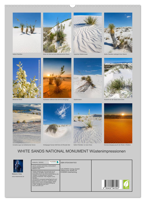 WHITE SANDS NATIONAL MONUMENT Wüstenimpressionen (CALVENDO Premium Wandkalender 2025)