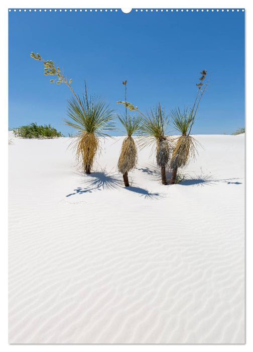 WHITE SANDS NATIONAL MONUMENT Wüstenimpressionen (CALVENDO Premium Wandkalender 2025)