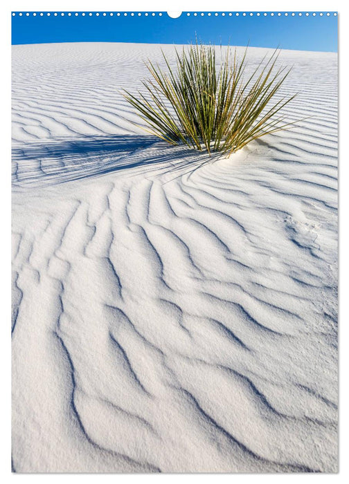 WHITE SANDS NATIONAL MONUMENT Wüstenimpressionen (CALVENDO Premium Wandkalender 2025)