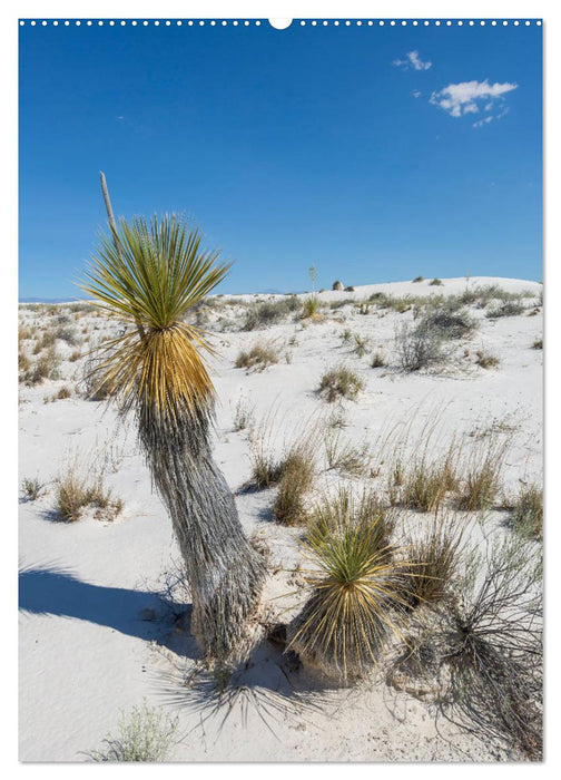 WHITE SANDS NATIONAL MONUMENT Wüstenimpressionen (CALVENDO Premium Wandkalender 2025)