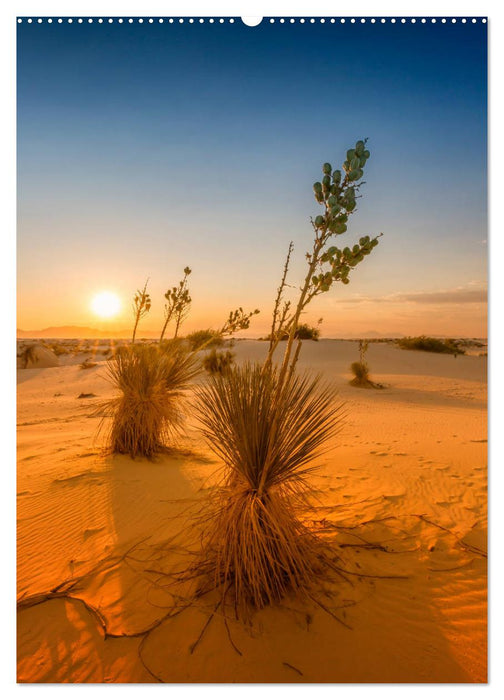 WHITE SANDS NATIONAL MONUMENT Wüstenimpressionen (CALVENDO Premium Wandkalender 2025)