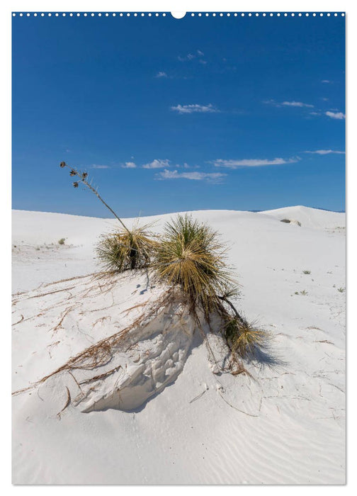 WHITE SANDS NATIONAL MONUMENT Wüstenimpressionen (CALVENDO Premium Wandkalender 2025)