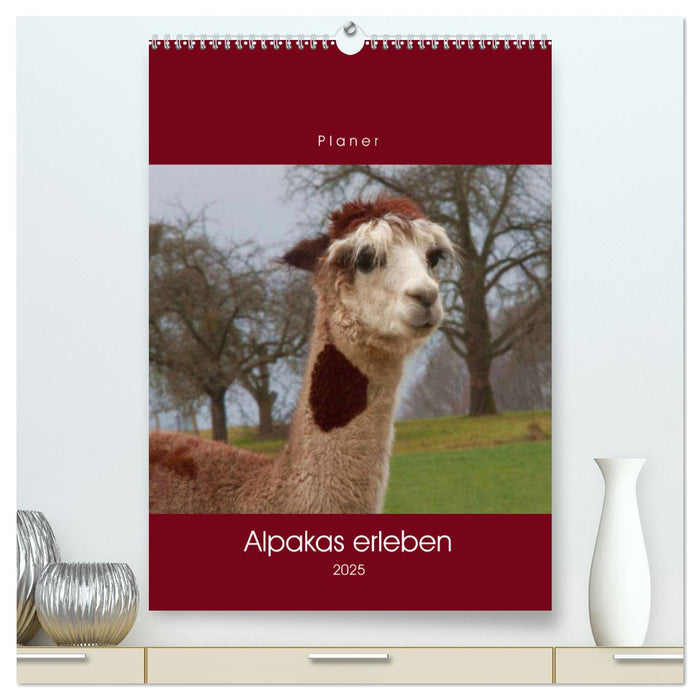 Alpakas erleben (CALVENDO Premium Wandkalender 2025)