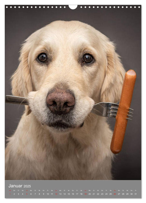 Grace und Cuba - Zwei liebenswerte Golden Retriever (CALVENDO Wandkalender 2025)