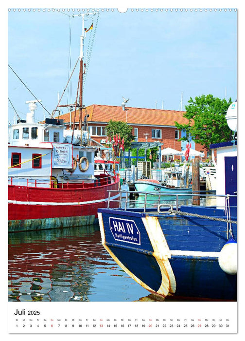 Heiligenhafen Ein Spaziergang (CALVENDO Premium Wandkalender 2025)