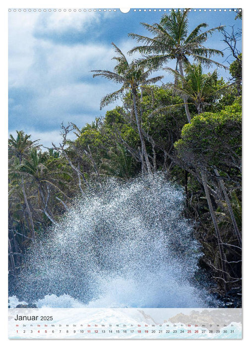 Willkommen in Hawai'i (CALVENDO Premium Wandkalender 2025)