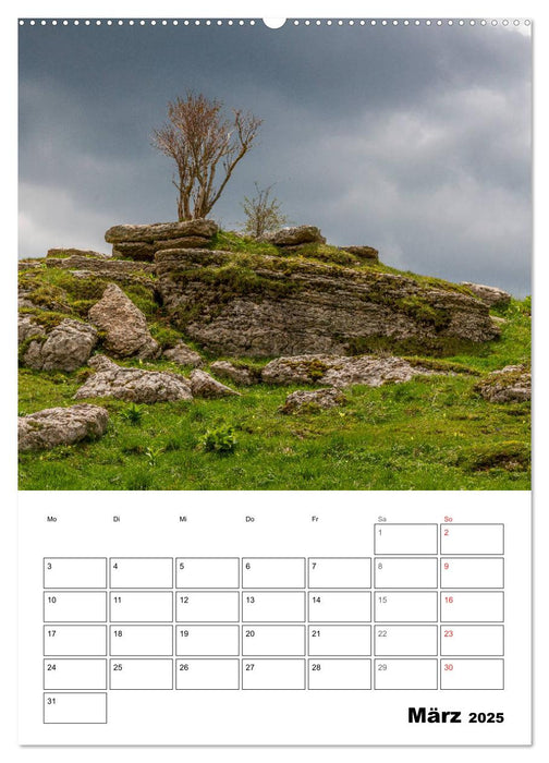 Putzige Alpenbewohner - Alpenmurmeltiere (CALVENDO Premium Wandkalender 2025)