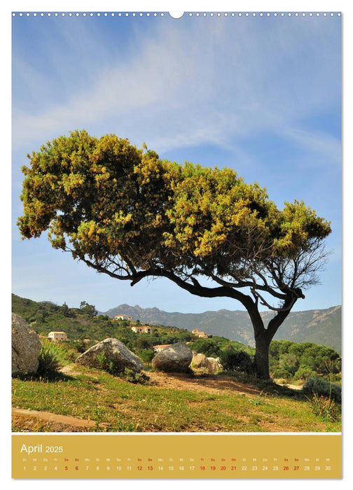 Korsika - Felsen und Meer (CALVENDO Premium Wandkalender 2025)