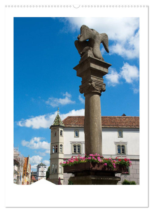 Wangen im Allgäu und seine schönen Brunnen (CALVENDO Premium Wandkalender 2025)