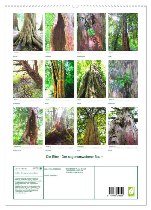 Die Eibe - Der sagenumwobene Baum (CALVENDO Premium Wandkalender 2025)