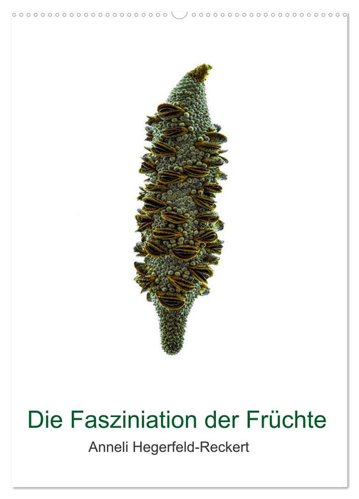 Die Faszination der Früchte (CALVENDO Wandkalender 2025)