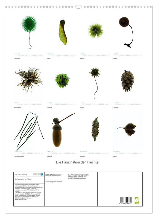 Die Faszination der Früchte (CALVENDO Wandkalender 2025)