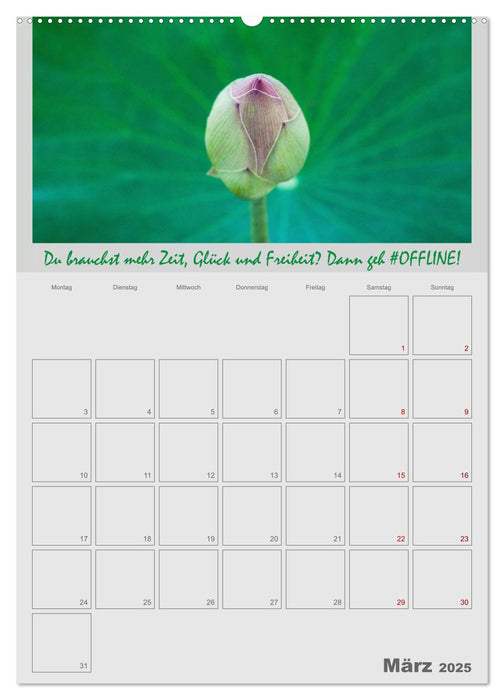 #OFFLINE - Mein Freizeitplaner (CALVENDO Premium Wandkalender 2025)