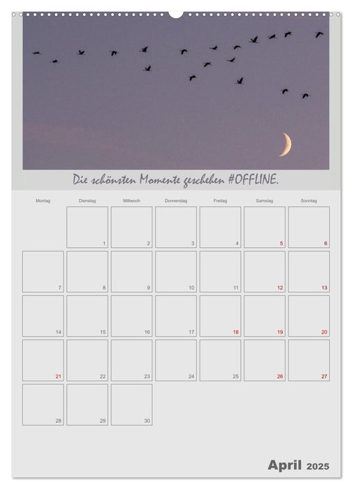 #OFFLINE - Mein Freizeitplaner (CALVENDO Premium Wandkalender 2025)