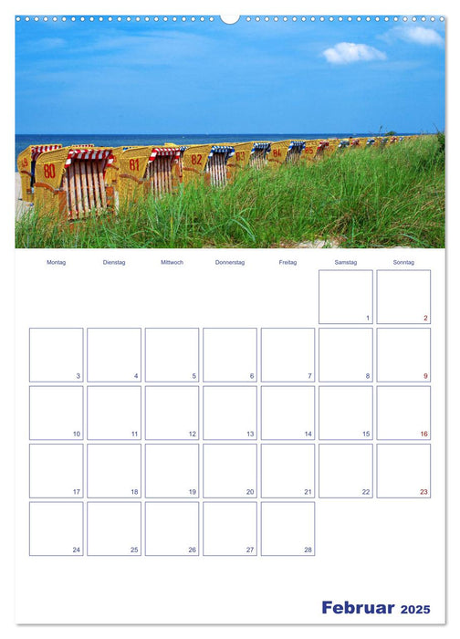 Traumhafte Ostseestrände - Entlang der Küste von Fehmarn bis Rüge (CALVENDO Premium Wandkalender 2025)