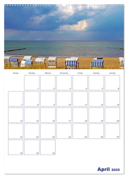 Traumhafte Ostseestrände - Entlang der Küste von Fehmarn bis Rüge (CALVENDO Premium Wandkalender 2025)