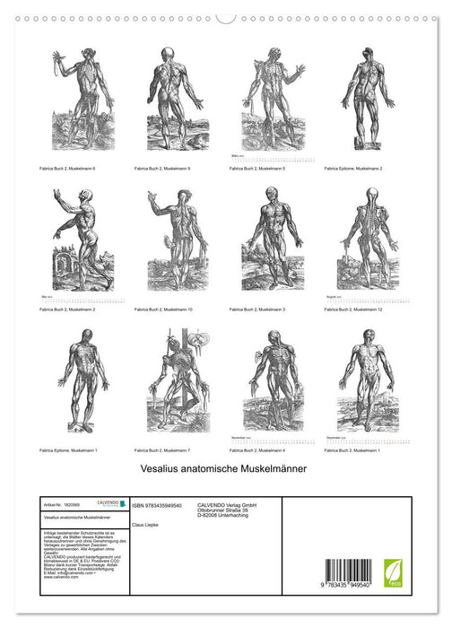 Vesalius anatomische Muskelmänner (CALVENDO Premium Wandkalender 2025)