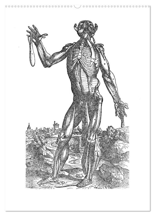 Vesalius anatomische Muskelmänner (CALVENDO Premium Wandkalender 2025)