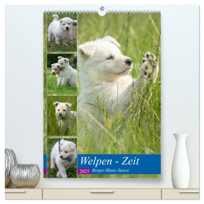 Welpen Zeit - Berger Blanc Suisse (CALVENDO Premium Wandkalender 2025)