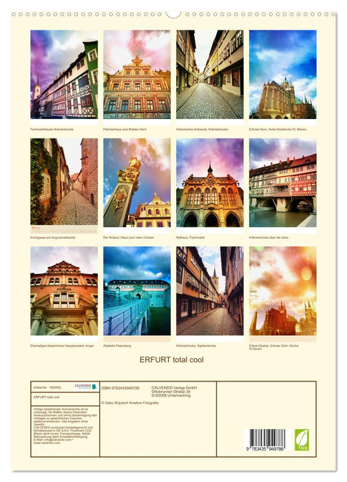 ERFURT total cool (CALVENDO Premium Wandkalender 2025)