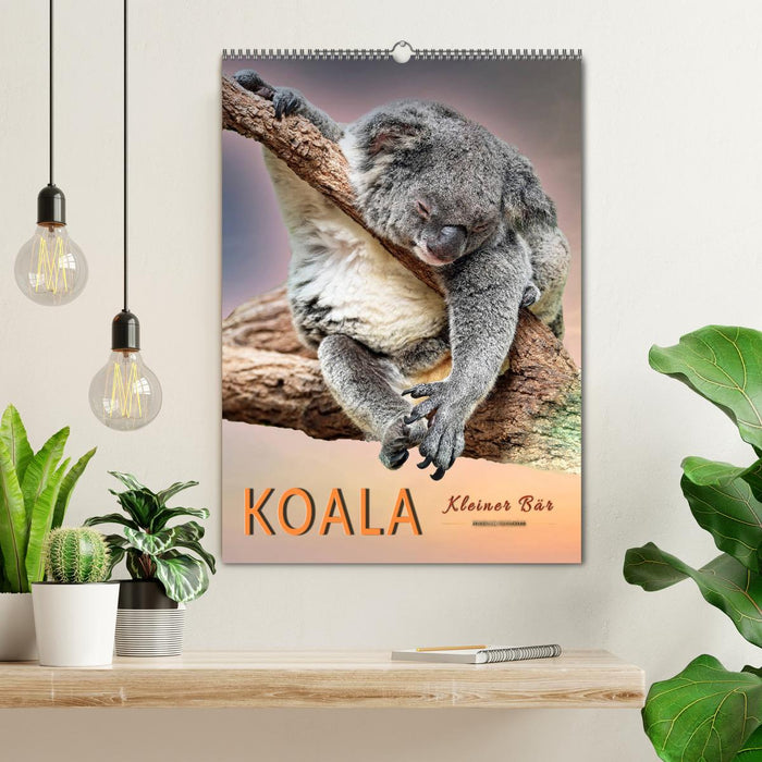 Koala, kleiner Bär (CALVENDO Wandkalender 2025)