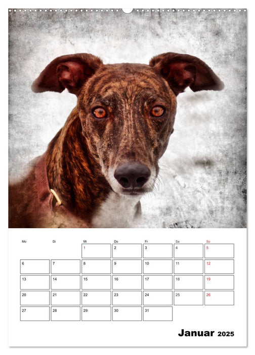 Retro Hunde (CALVENDO Wandkalender 2025)