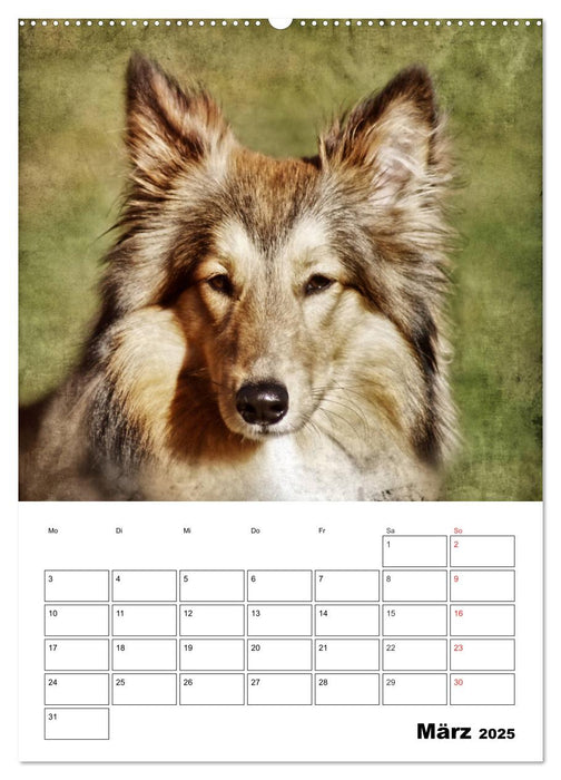 Retro Hunde (CALVENDO Wandkalender 2025)