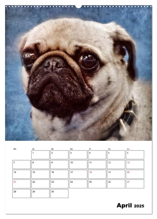 Retro Hunde (CALVENDO Wandkalender 2025)