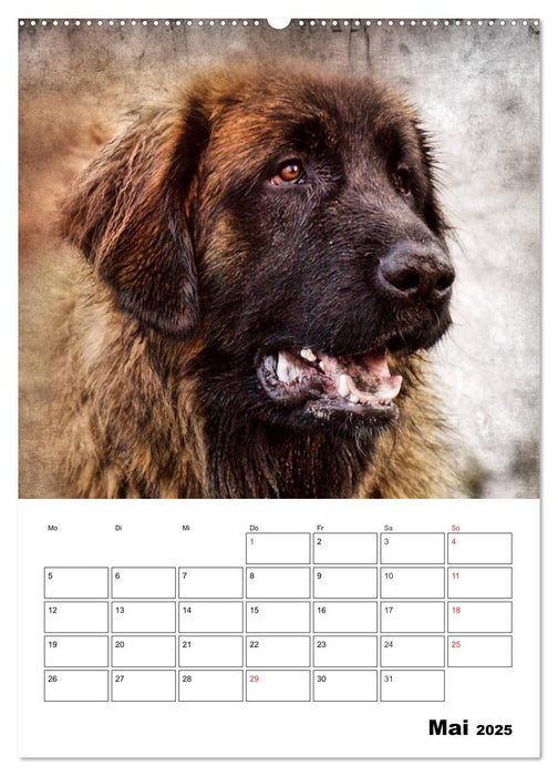 Retro Hunde (CALVENDO Wandkalender 2025)