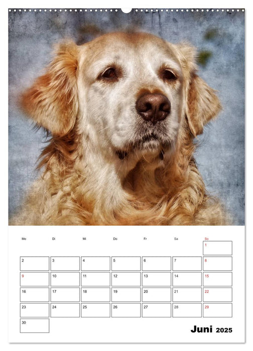 Retro Hunde (CALVENDO Wandkalender 2025)