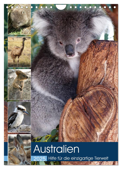 Australien - Hilfe für die einzigartige Tierwelt (CALVENDO Wandkalender 2025)