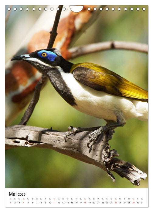 Australien - Hilfe für die einzigartige Tierwelt (CALVENDO Wandkalender 2025)