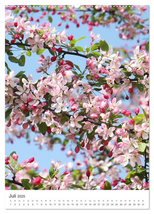 Beglückender Frühling (CALVENDO Premium Wandkalender 2025)