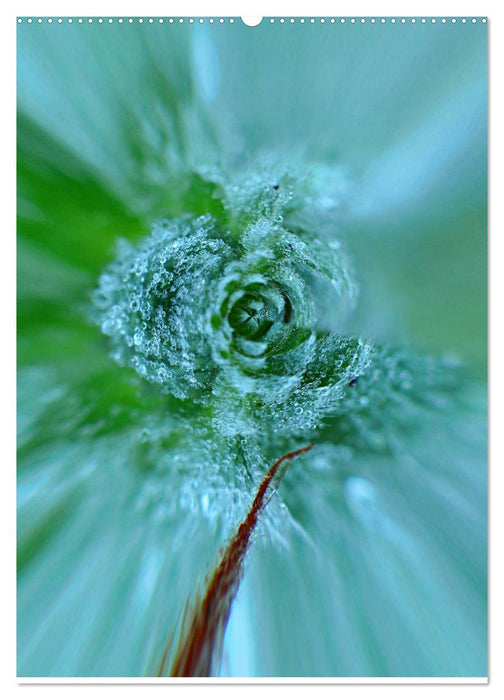 Durchschnittlich - Verzauberte Flora (CALVENDO Wandkalender 2025)