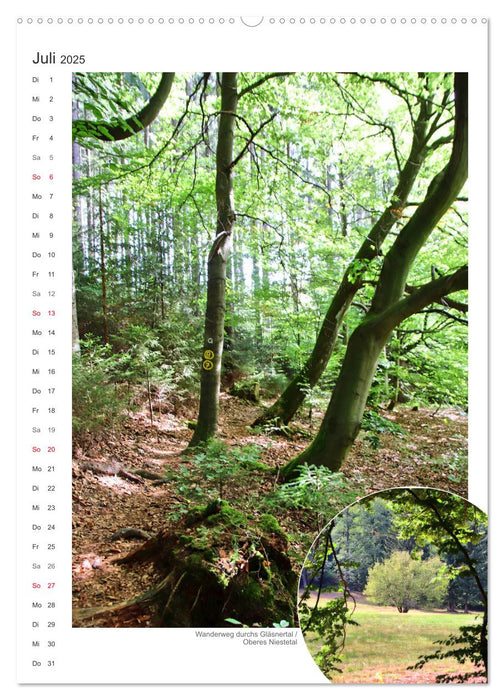 Der Grimmsteig (CALVENDO Premium Wandkalender 2025)