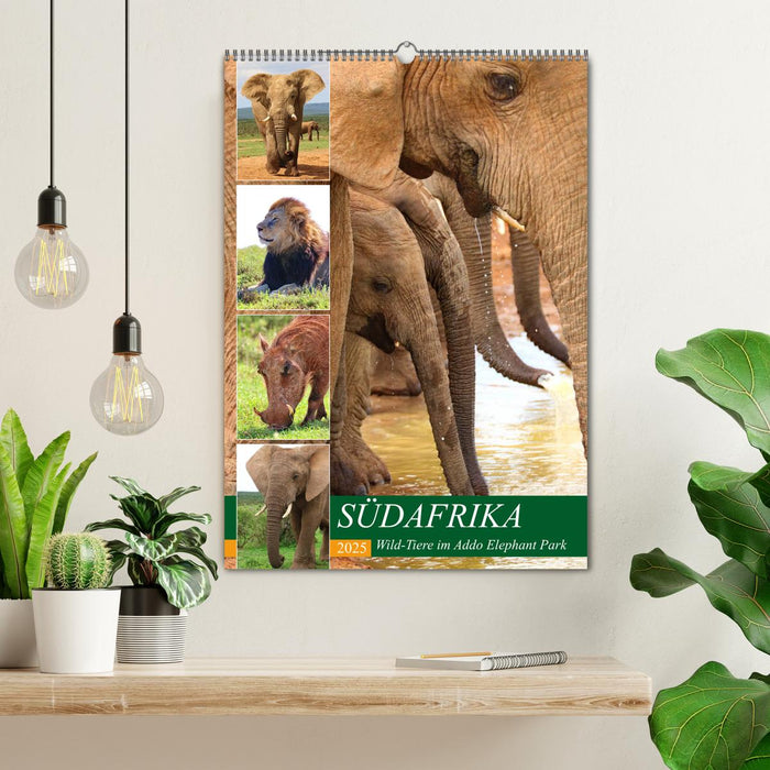 SÜDAFRIKA Wild-Tiere im Addo Elephant Park (CALVENDO Wandkalender 2025)