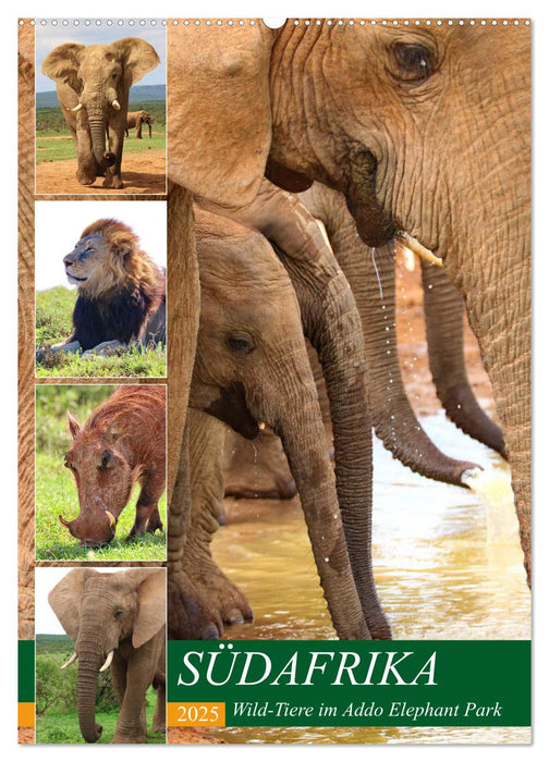 SÜDAFRIKA Wild-Tiere im Addo Elephant Park (CALVENDO Wandkalender 2025)