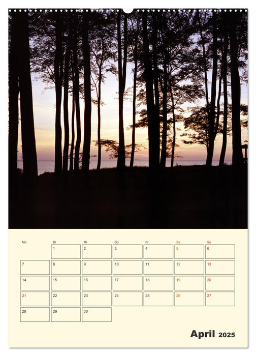 Usedom (CALVENDO Premium Wandkalender 2025)