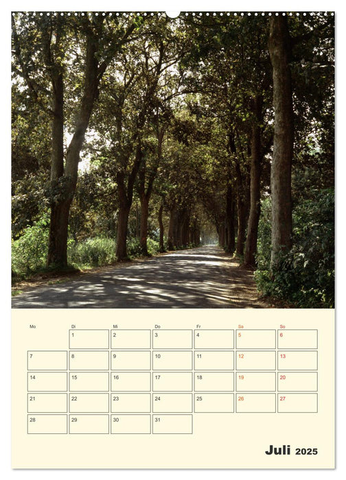 Usedom (CALVENDO Premium Wandkalender 2025)