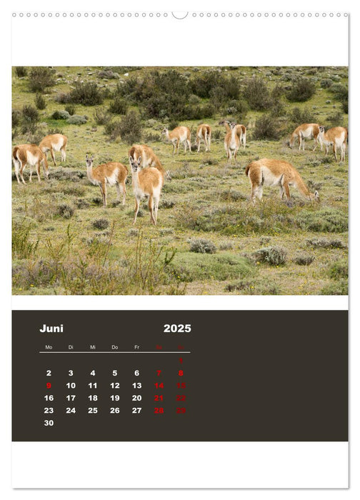 Patagonien (CALVENDO Wandkalender 2025)