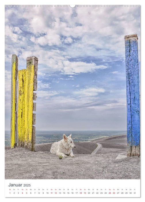 Ruhrgebiet - Malerischer Spaziergang (CALVENDO Premium Wandkalender 2025)