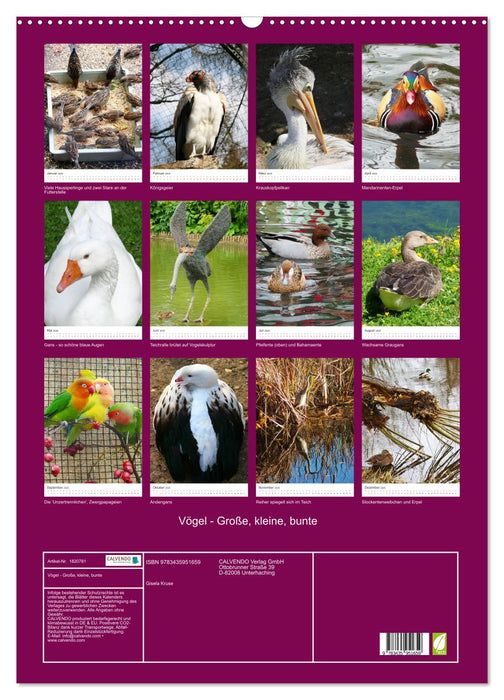 Vögel - Große, kleine, bunte (CALVENDO Wandkalender 2025)