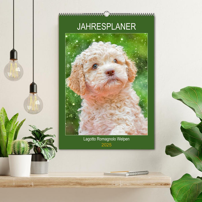 Jahresplaner Lagotto Romagnolo Welpen (CALVENDO Wandkalender 2025)