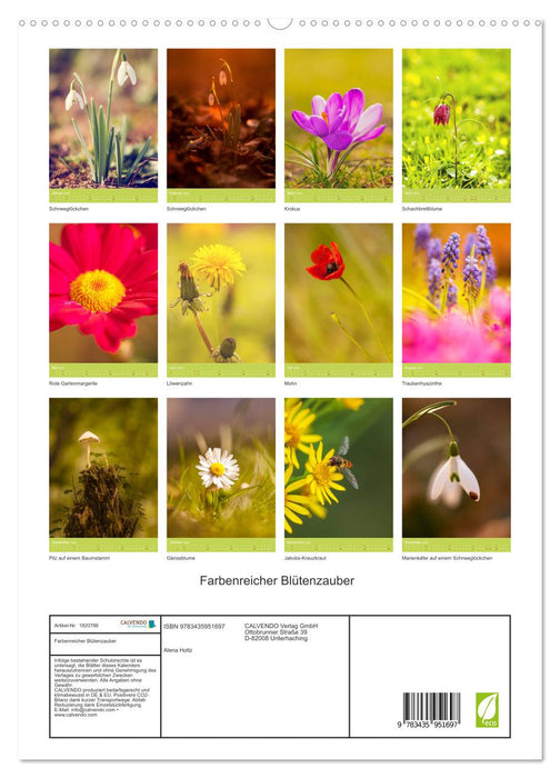 Farbenreicher Blütenzauber (CALVENDO Premium Wandkalender 2025)