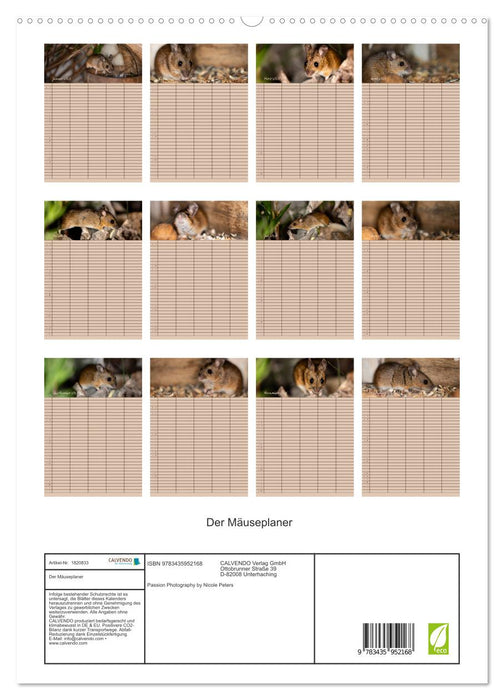 Der Mäuseplaner (CALVENDO Premium Wandkalender 2025)