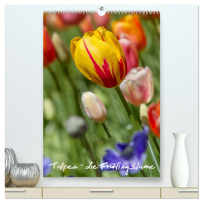 Tulpen - die Frühlingsblume (CALVENDO Premium Wandkalender 2025)