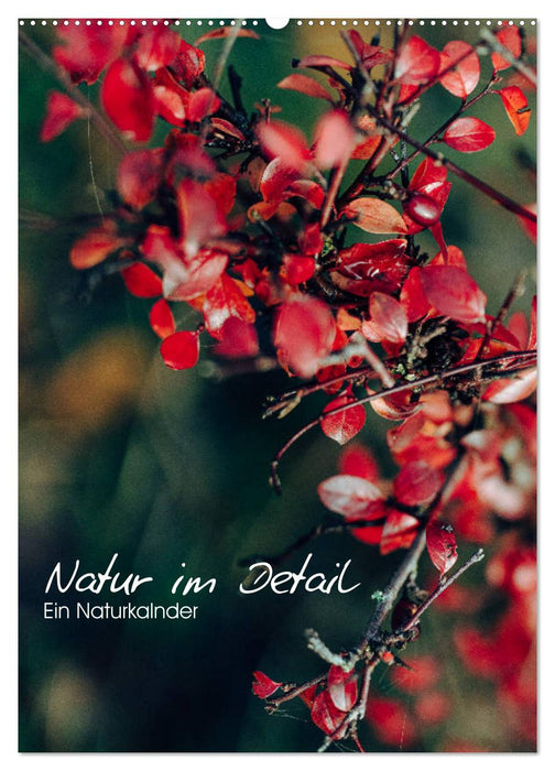 Kalender - Natur im Detail (CALVENDO Wandkalender 2025)