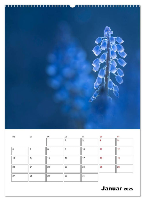 Blütentraum in Blau (CALVENDO Premium Wandkalender 2025)